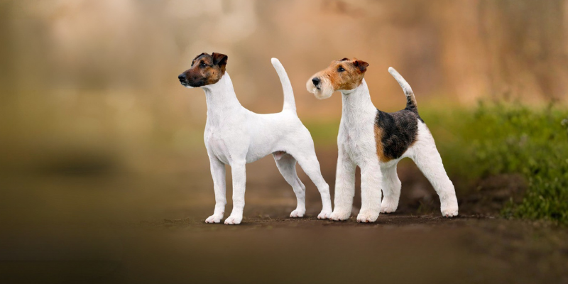 Klubové zkoušky Zlín